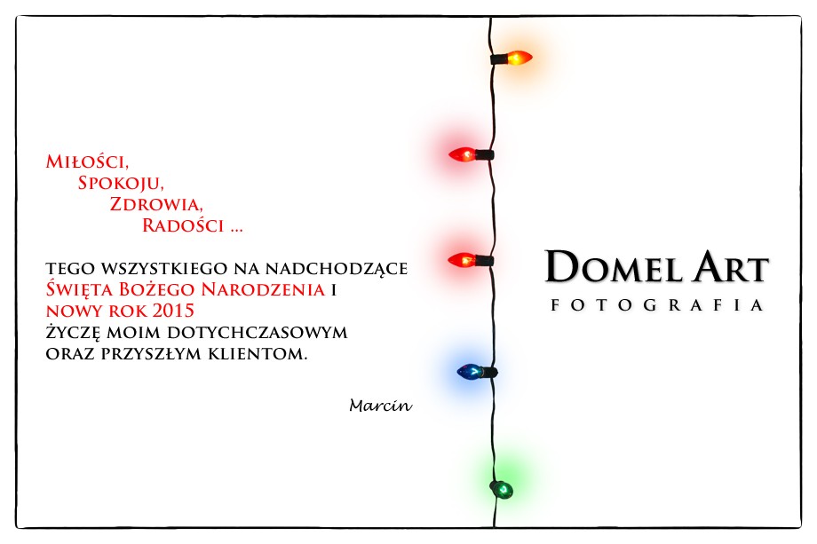 kartka_świąteczna_DomelArt_2014